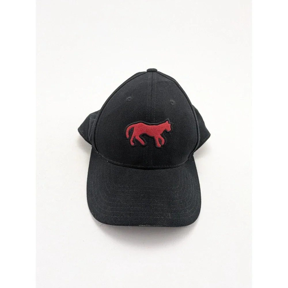 Vintage American Needle Detroit Tigers 1901 LOGO Leather Strapback Hat 7.5 Model